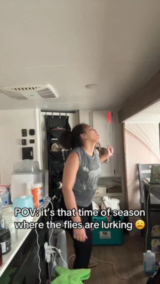 Instagram post from itsthenomadjunkie. This post is in position 2.